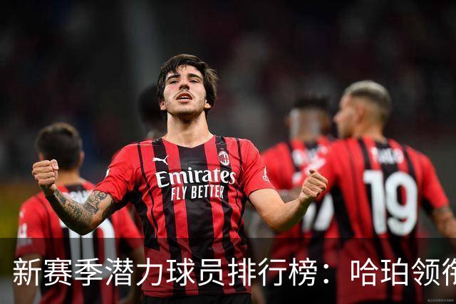 新赛季潜力球员排行榜：哈珀领衔，弗拉格平分第二